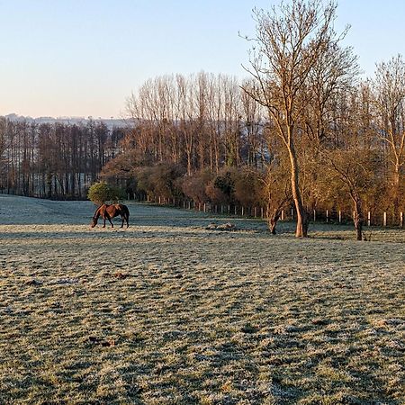 Le Haras d Havetot Hotell Anctoville Exteriör bild