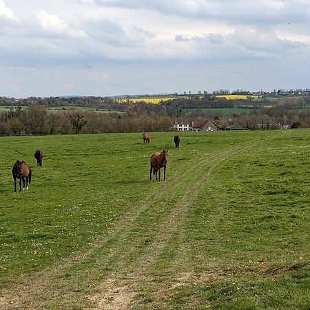 Le Haras d Havetot Hotell Anctoville Exteriör bild