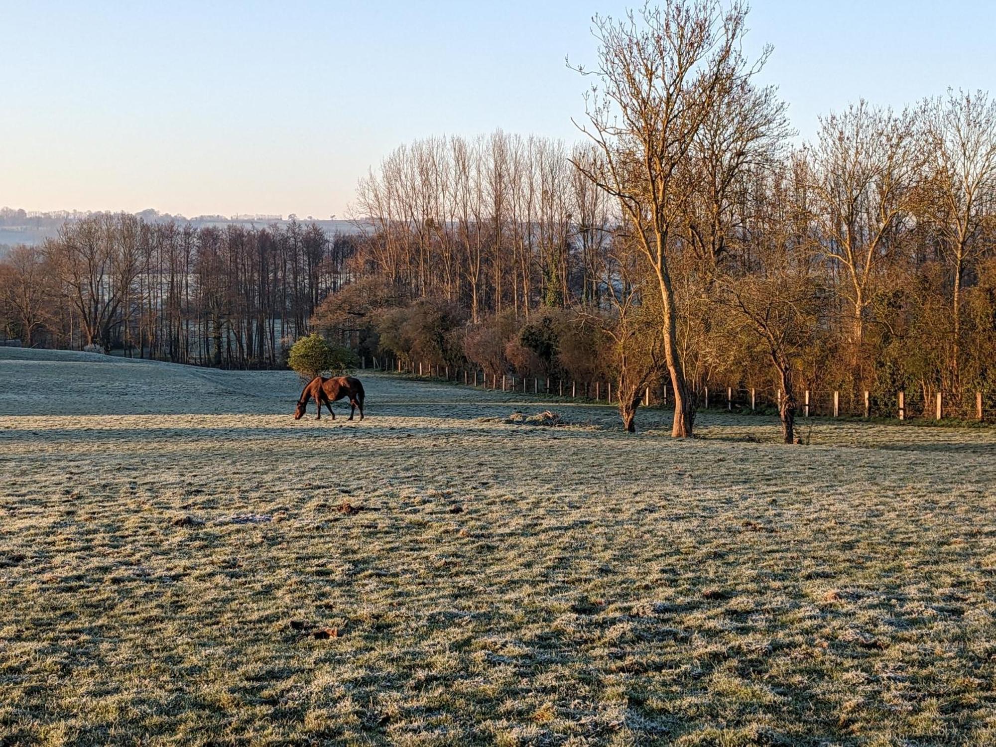 Le Haras d Havetot Hotell Anctoville Exteriör bild