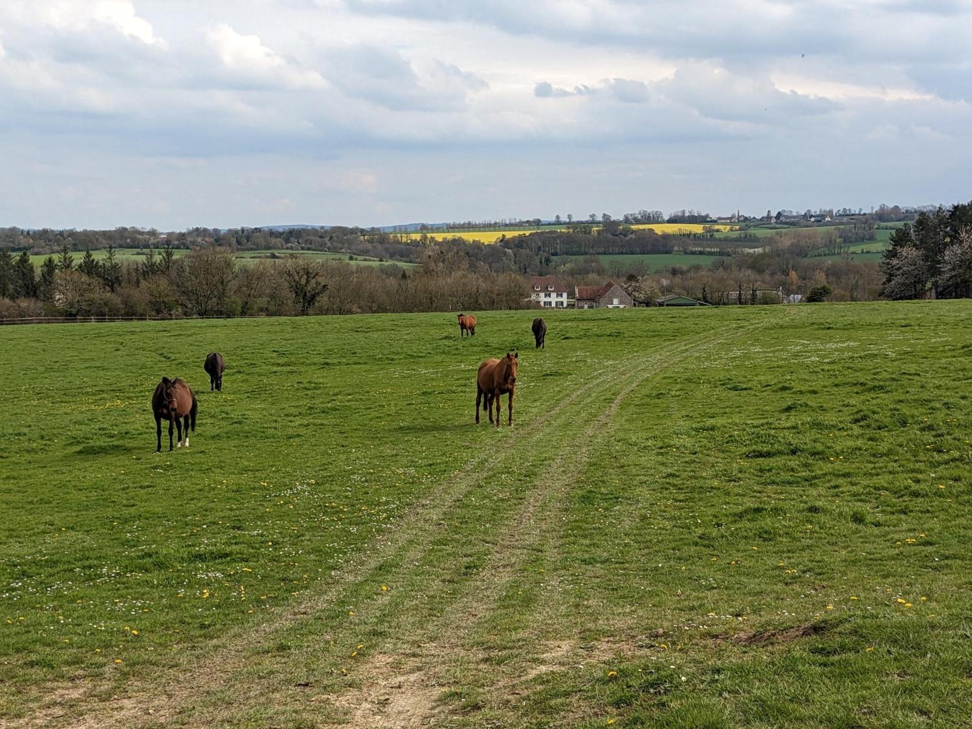 Le Haras d Havetot Hotell Anctoville Exteriör bild